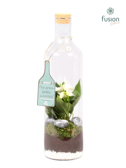 <h4>Green Bottle Fles Large met Anthurium</h4>