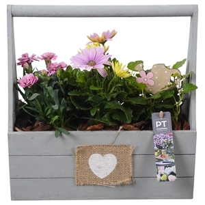 PTPP7000 Arrangement Patio in houten bak