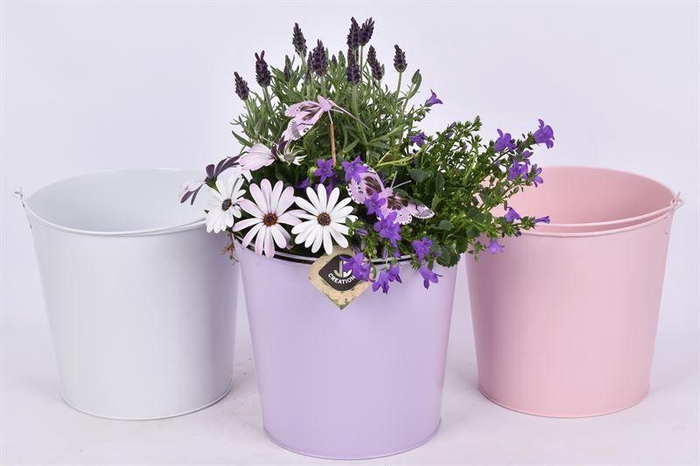 <h4>Zink emmer kl.mix 20cm</h4>