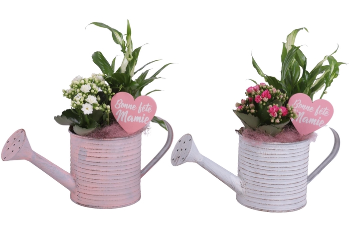 <h4>Grandmothers Day Arr. Indoor Zinc Wateringcan Vintage Ø31cm 2PP</h4>