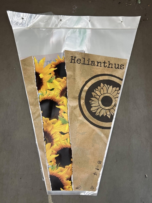<h4>HOES HELIANTHUS H60XD45</h4>