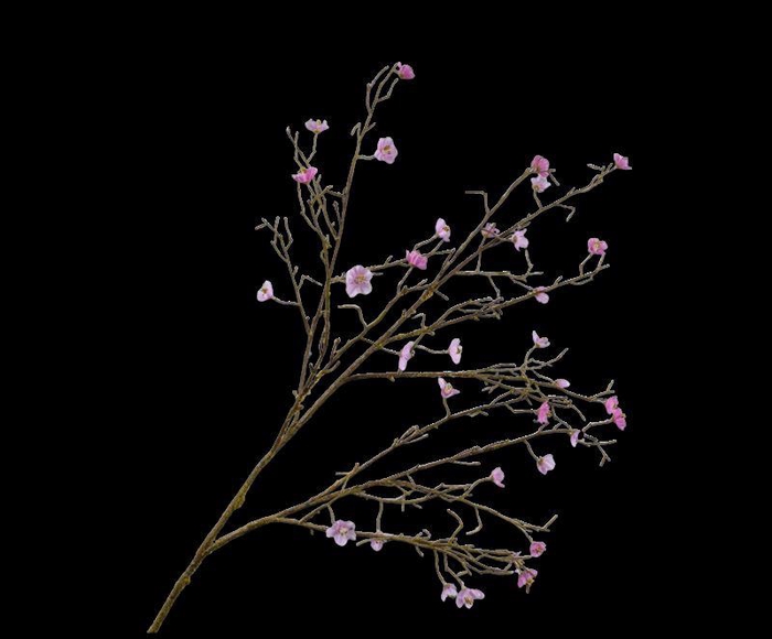 <h4>BLOESEM TAK ROZE  107 cm</h4>