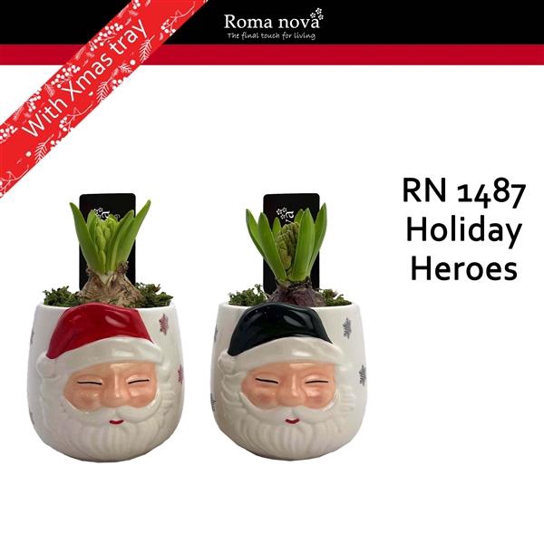 <h4>Arrangementen Hyacinthus 6%</h4>