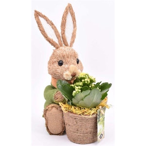 Strohaas met jute pot 20x18cm