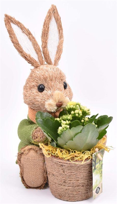 <h4>Strohaas met jute pot 20x18cm</h4>