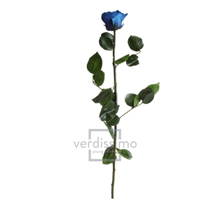 Roos op steel Standard 55cm D.blauw