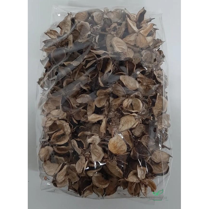 <h4>COTTON PODS NATUREL 250GR</h4>