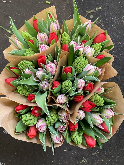 <h4>HYA/TULP MIX</h4>