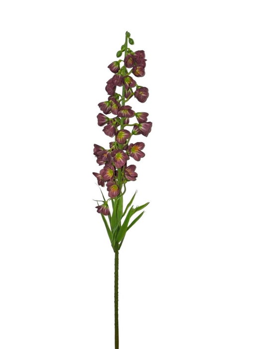 <h4>AF Fritillaria Pers. L75cm bu</h4>