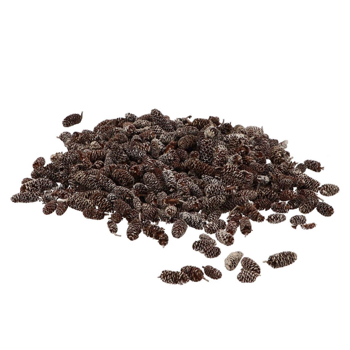 <h4>Nature Birch Pine Stone Whitewash P/500 Gram</h4>