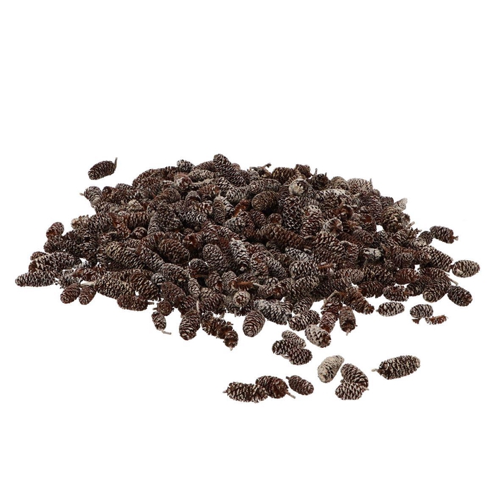 <h4>Nature Birch Pine Stone Whitewash P/500 Gram</h4>
