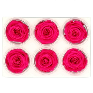 Preserved Rose 6cm