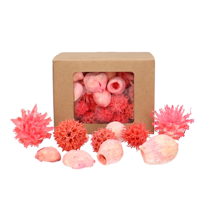 <h4>Exotic mix 150g</h4>