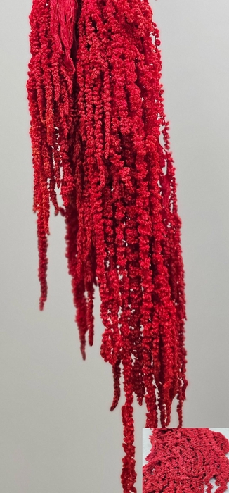 GESTABILISEERD AMARANTHUS (H) ROOD
