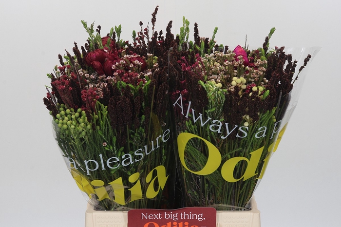 <h4>BQ Kaaps Groen African BQ</h4>