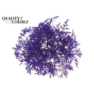 Limonium Tataricum per bunch Purple