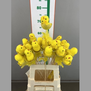E. CHICKEN EGG 8 CM OP STOK