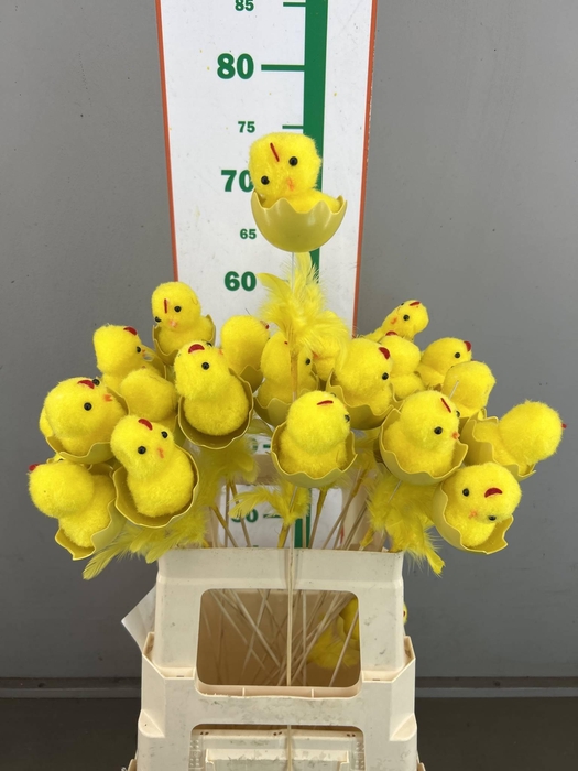 <h4>CHICKEN EGG 8 CM OP STOK</h4>