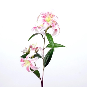 AF Lily L85cm l.pink