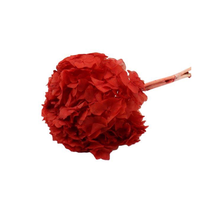 <h4>Bunch Hydrangea Pres.</h4>