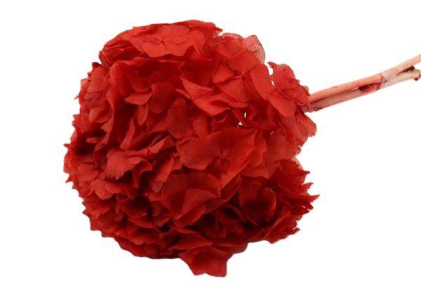 Bunch Hydrangea Pres.