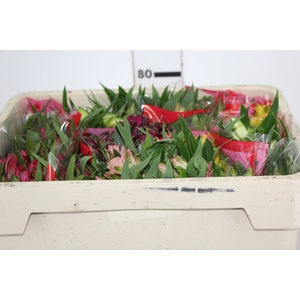 ALSTROEMERIA VARIADO 080 CM