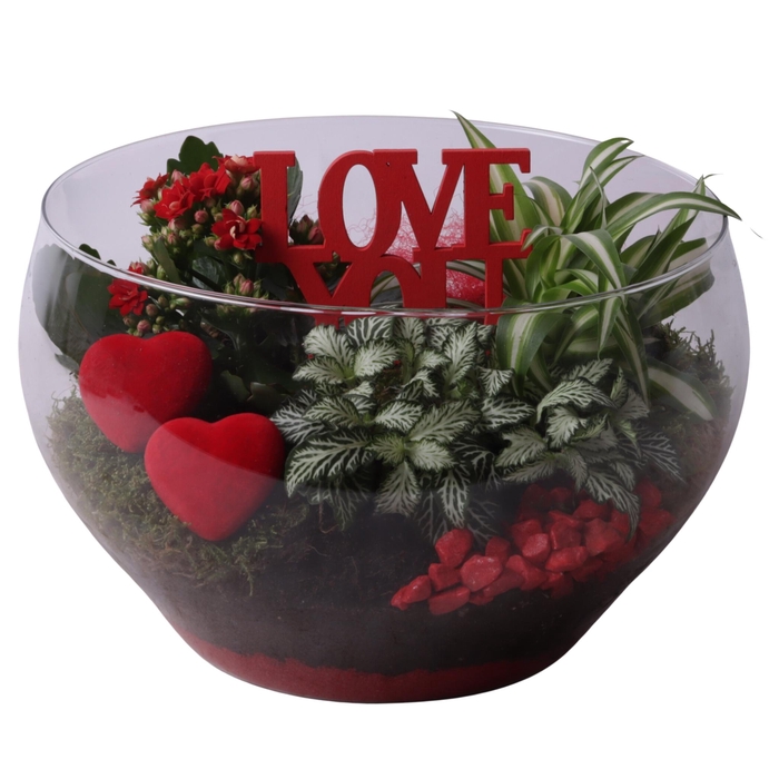<h4>Valentine Arr. Indoor Glass Vase Ø25cm 3PP</h4>