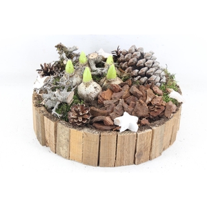 arr4 Hyacint MB - Latjes schaal XL