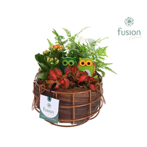 Mand metaal rond Small Herfst met Arrangement