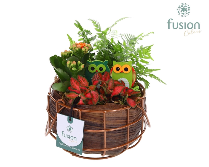 <h4>Mand metaal rond Small Herfst met Arrangement</h4>