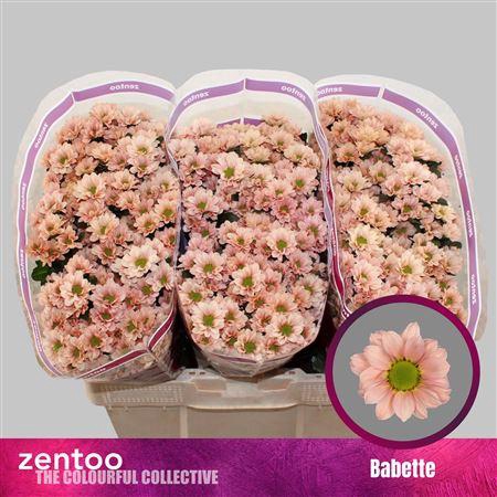 <h4>Chr S Babette</h4>