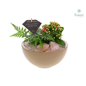 Schaal keramiek Moon Medium beige met Arrangement