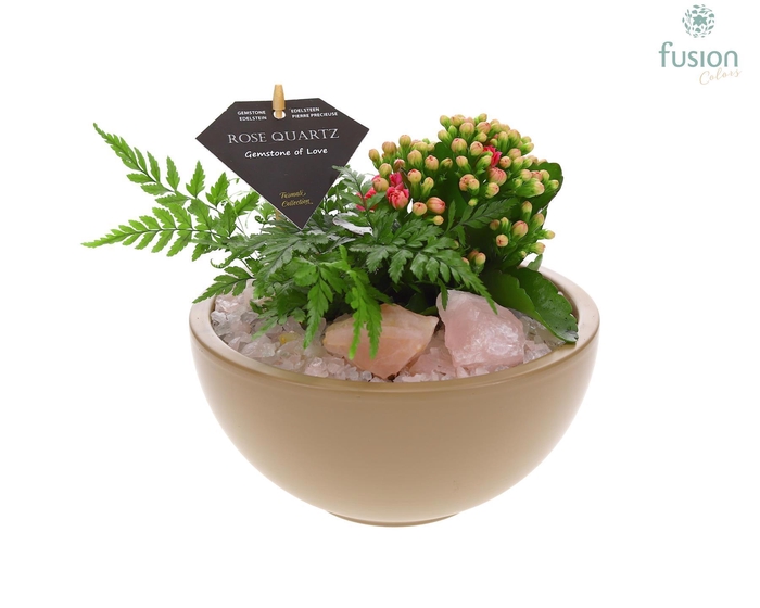 <h4>Schaal keramiek Moon Medium beige met Arrangement</h4>