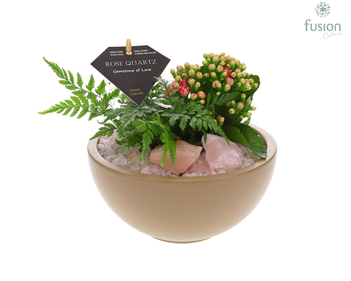 <h4>Schaal keramiek Moon Medium beige met Arrangement</h4>