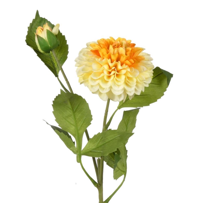 <h4>AF Dahlia Pompon x2 L61cm Yell</h4>