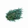 ABIES PROC. 'NOBILIS'  ..BLUE /KG
