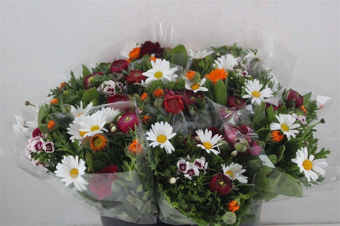 <h4>Boeket Primavera P Bunch</h4>