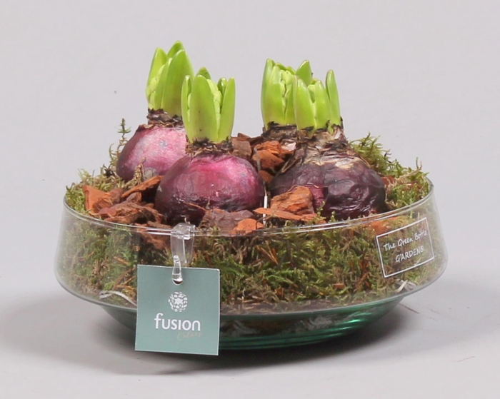 <h4>Green Bottle Iris Medium met Hyacinten</h4>