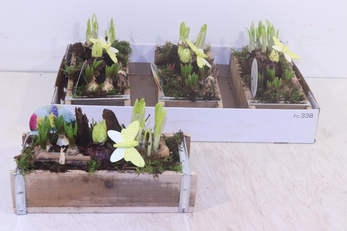 <h4>ARR BOL KNOLGEWAS</h4>