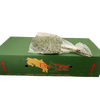 LEDERVAREN EXTRA VACUUM GREEN OCEAN