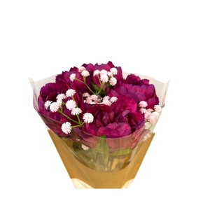 AF Bouquet (6pcs) Peony+Gyps