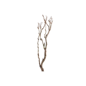 Syringa Branch Extra Huggens