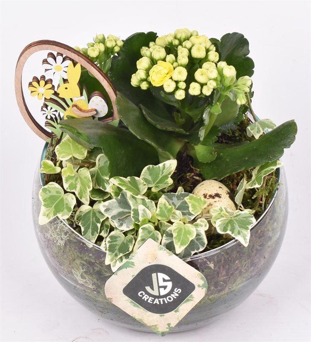 <h4>Glas bol schaal schuine top 15cm</h4>