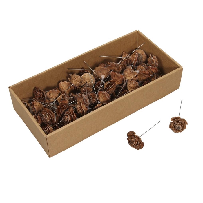 <h4>Cedar rose/draad 10cm x70</h4>