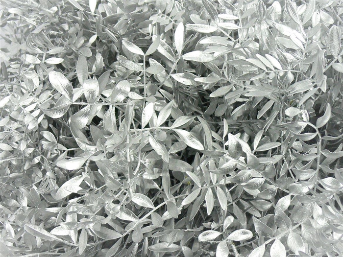 <h4>Pistache 55 Geverfd Zilver</h4>