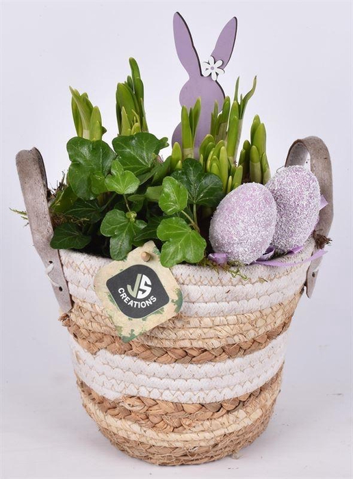 Maismand dia 17 met oren