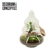 Terrarium Tree (Decorum concepts)