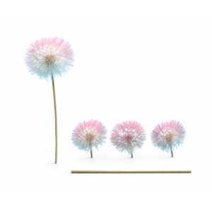 Dried Bleached Dandelion Fantasy Box