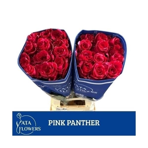 R Gr Pink Panther