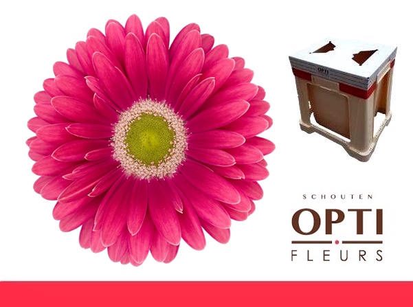 <h4>GE GR UNIQUE-Water</h4>